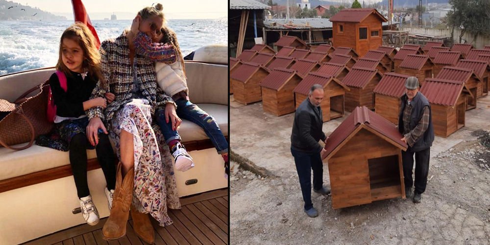 Mermerci'den sokak hayvanlarına destek!