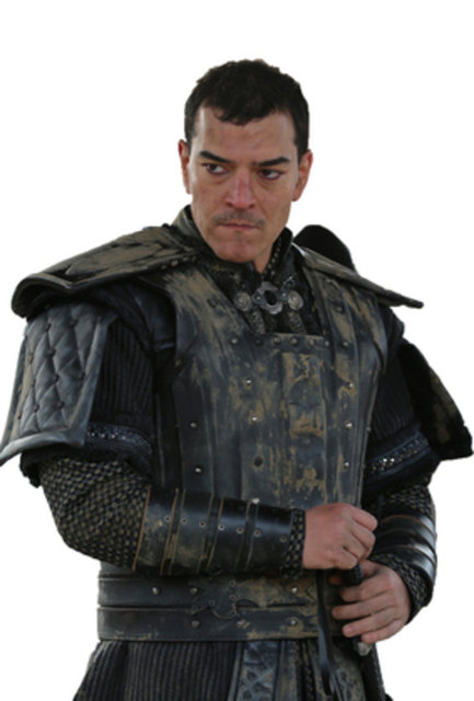 Чагры шенсой. Чагры Шенсой CERKUTAY.