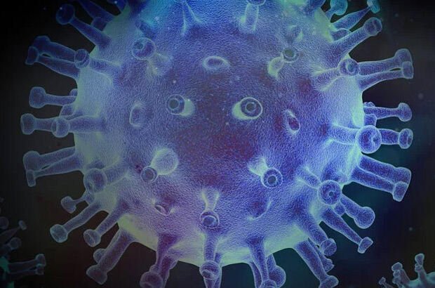 Corona virüs belirtileri nelerdir? 