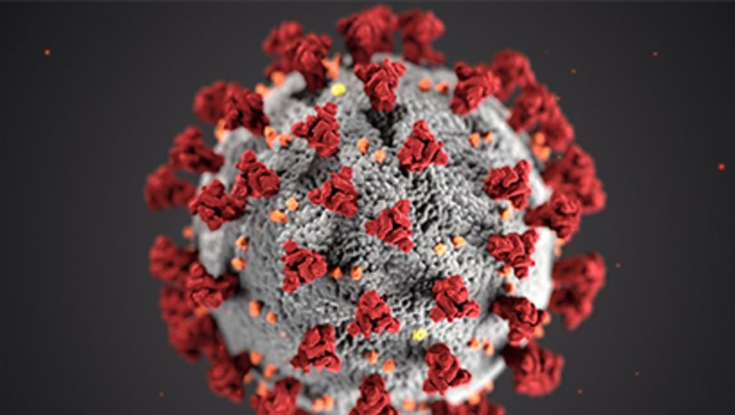 corona virus belirtileri nelerdir koronavirus ilk gun belirtileri nasil baslar gun gun koronavirus saglik haberleri