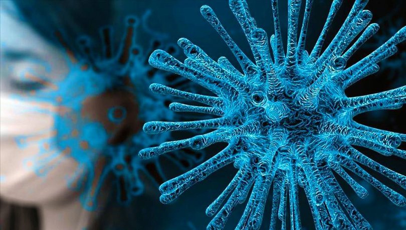 Corona virüs belirtileri nelerdir? Koronavirüs ilk gün belirtileri nasıl başlar? Gün gün koronavirüs