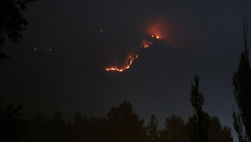 Son dakika haberi: Adana'da korkutan orman yangını! - Haberler