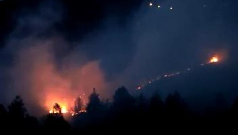 Son dakika: Sinop ve Trabzon'da orman yangını! - Haberler