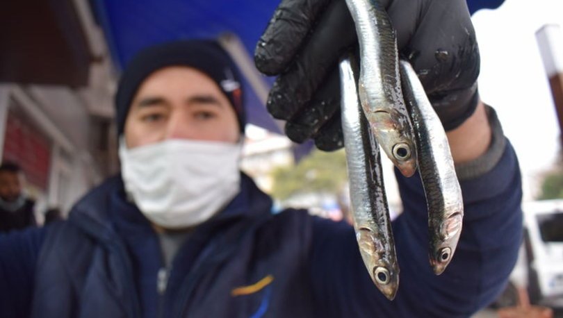 KOTA ÖNERİSİ! Son dakika: Karadeniz'de hamsi avı için yeni öneri