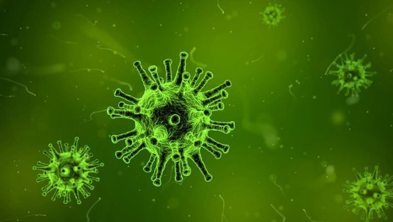 Nipah virüsü nedir? YARASADAN BULAŞIYOR! Nipah virüsü belirtileri: ÖLÜMCÜL!