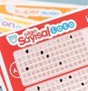 Milli Piyango İdaresi Çılgın Sayısal Loto çekiliş sonuçlarını açıkladı. Her hafta Cumartesi akşamları Seda Sayan