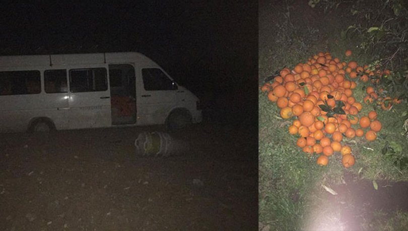 Portakal bahçesinden 5 ton meyve çalan 5 şüpheli suçüstü yakalandı