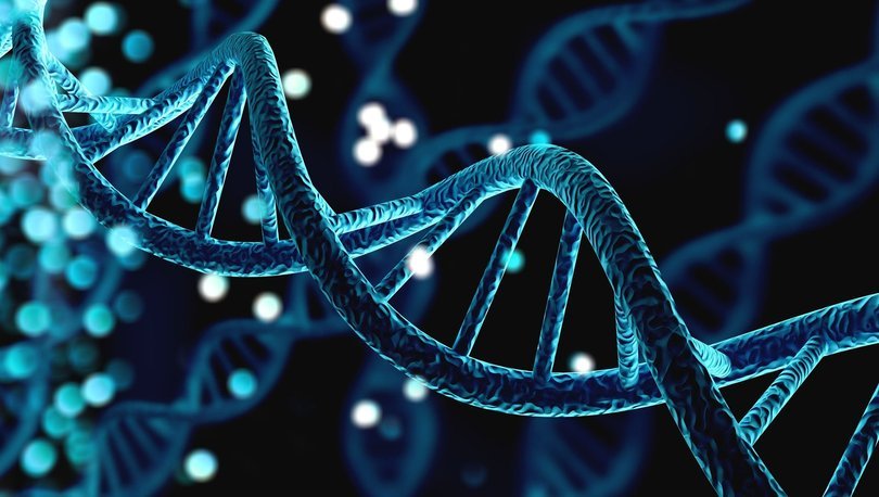 Sağlıklı ve uzun yaşamın sırrı epigenetikte mi yatıyor?