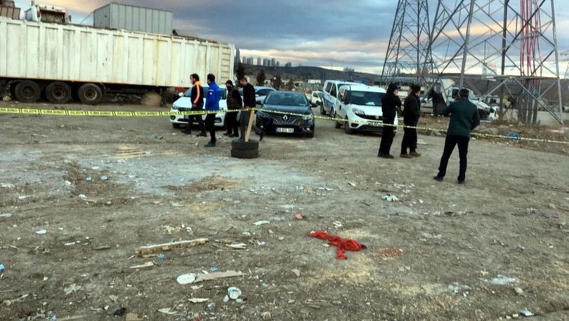Ankara'da boş arazide 20 ölü köpek bulundu