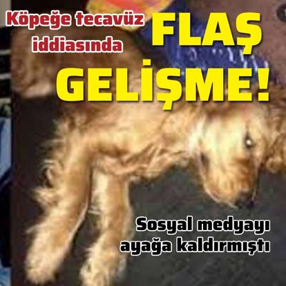 Igrenc Olay Son Dakika Emanet Kopege Tecavuz Iddiasinda Flas Gelisme Son Dakika Haberleri