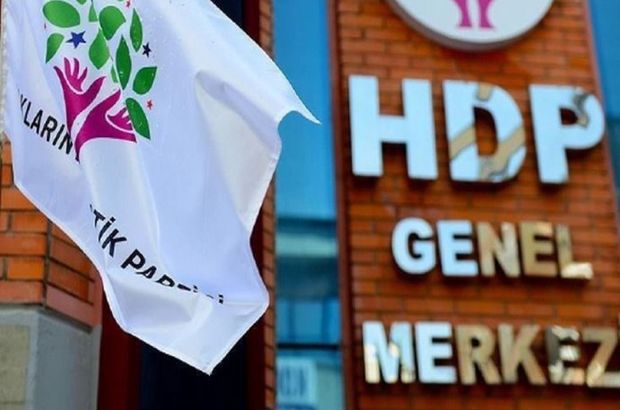 HDP'nin kaç milletvekili var? 