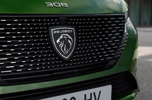 Fransız modele elektrik geldi!