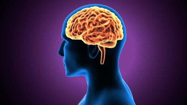 Beyni erken yaşlandıran 6 önemli tehlikeye dikkat! - Haberler