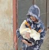 Samsun’un Alaçam ilçesinde 13 yaşındaki çocuk ile ördeğin arkadaşlığı görenlerin içini ısıtıyor