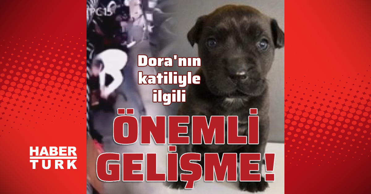 SON DAKİK Yavru köpek Dora�nın katiliyle ilgili önemli gelişme