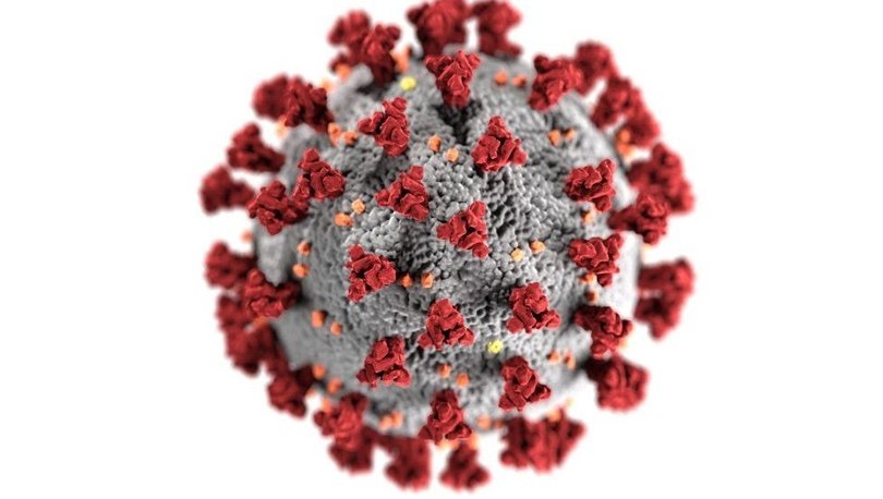 Covid: Hindistan'da 'çifte mutasyona' uğramış koronavirüs tespit edildi
