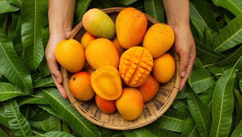 2020'de 57 ülke ve bölgeye tropikal meyve ihracatı
