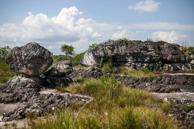 Kolombiya ormanlarındaki eski kayalar