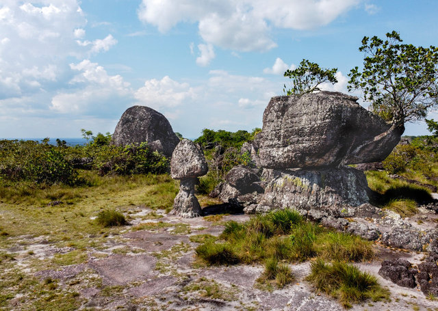 Kolombiya ormanlarındaki eski kayalar