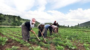 2021 mazot gübre desteği ödemeleri bugün başlıyor!