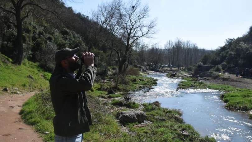 Ballıkayalar'ın 'kuş dedektifi' 10 yıldır yaban hayatının izini sürüyor