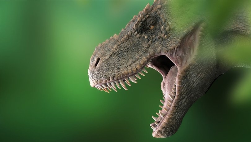 Dünyada 2,5 milyar T-rex dinozor türü yaşamış olduğu tahmin ediliyor