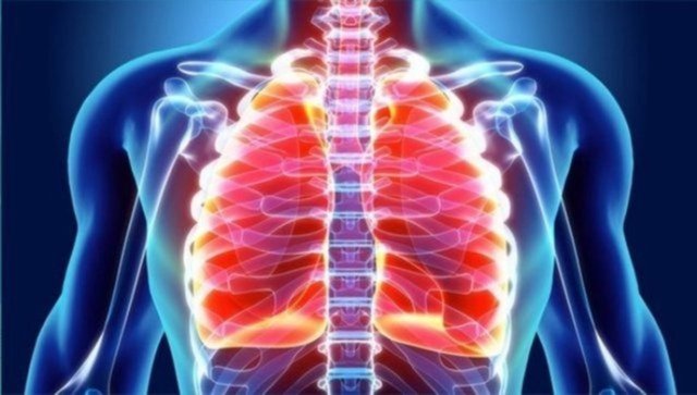 koronavirus belirtileri nelerdir corona virus nasil anlasilir iste covid 19 semptomlari gundem haberleri koronavirus belirtileri nelerdir corona virus nasil anlasilir iste covid 19 semptomlari gundem haberleri