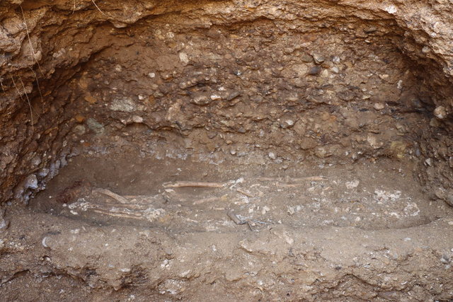Adıyaman'da 7 insan iskeleti olan oda mezar bulundu