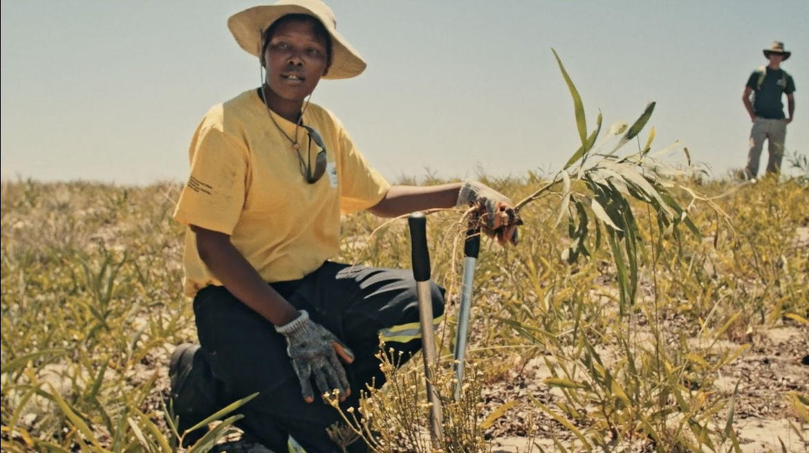 One Table Two Elephants (Bir Masa İki Fil)