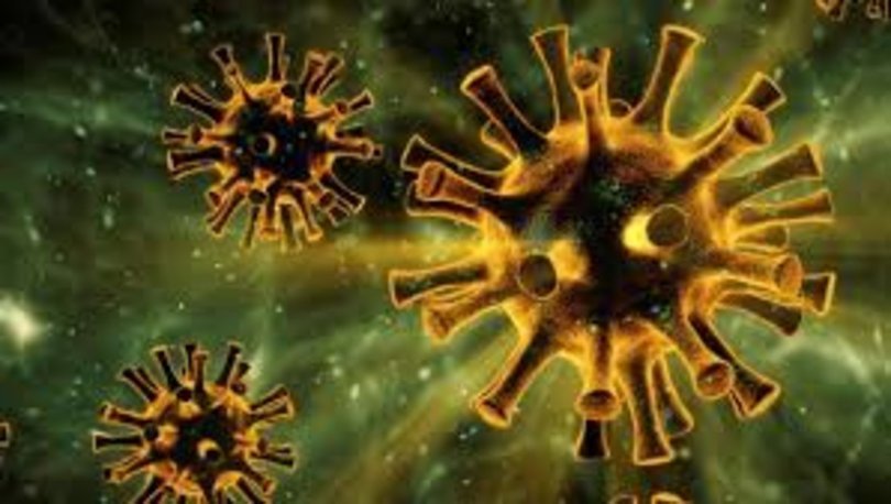 mutasyonlu virus belirtileri nelerdir iste madde madde mutasyonlu koronavirus belirtileri saglik haberleri