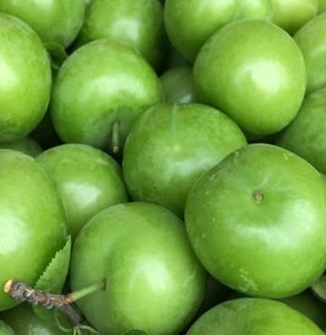 Kış boyunca daha az harekete alışan vücudumuzun ve yavaşlayan metabolizmamızın baharın gelmesi ve doğanın canlanmasıyla birlikte değişen ısı, ışık ile nem oranına adapte olmaya çalışması bahar yorgunluğuna sebep olabiliyor. Peki baharda bahar yorgunluğuna karşı nasıl beslenmeliyiz? Beslenme ve Diyet Uzmanı Deniz Uzunoğlu, baharda zindelik sağlayan 10 besini anlattı, baharda zinde olmanın kurallarını sıraladı