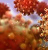 Mutasyonlu virüs belirtileri nedir? Sorusu ülkemizde artış gösteren koronavirüsün mutasyona uğradığı açıklanmasının ardından merak konusu oldu. Uzman doktorlardan mutasyonlu koronavirüs ile ilgili açıklama geldi