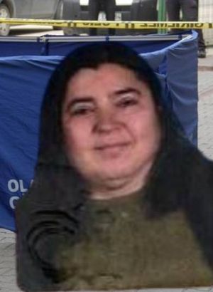 9 katlı iş hanının çatısından düştü