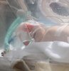 Sivas’ta kalbi duran 40 haftalık hamile kadının bebeği acil serviste yapılan sezaryen ile alınırken, genç kadın kurtarılamadı.