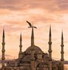 11 ayın sultanı Ramazan ayı için son döneme girildi. Vatandaşlar artık bayram için hazırlıklara başladı. Oruç ibadetlerini büyük bir mutlulukla sürdüren milyonlarca vatandaşımız, mübarek Ramazan ayının son gününün ne zaman olduğunu merak ediyor. İşte Ramazan ayının ve oruç ibadetinin son günü... 11 ayın sultanı Ramazan ayı için son döneme girildi. Vatandaşlar artık bayram için hazırlıklara başladı. Oruç ibadetlerini büyük bir mutlulukla sürdüren milyonlarca vatandaşımız, mübarek Ramazan ayının son gününün ne zaman olduğunu merak ediyor. İşte Ramazan ayının ve oruç ibadetinin son günü...