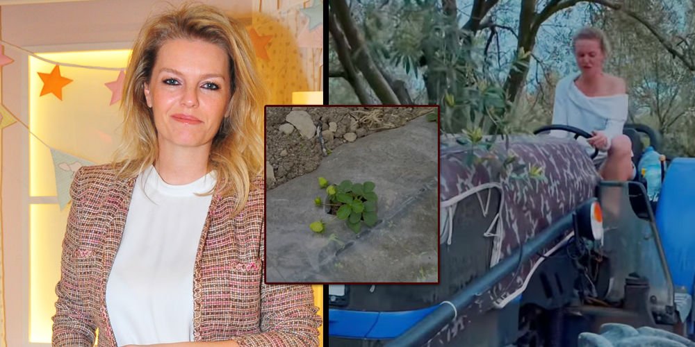 Koçibey'den organik tarım