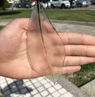 Zamanın karşısında kimse duramıyor... Tıpkı bu fotoğraflarda göründüğü gibi... İşte yıllar boyu kullanım sonucunda değişen eşyalar, binalar ve fazlası!