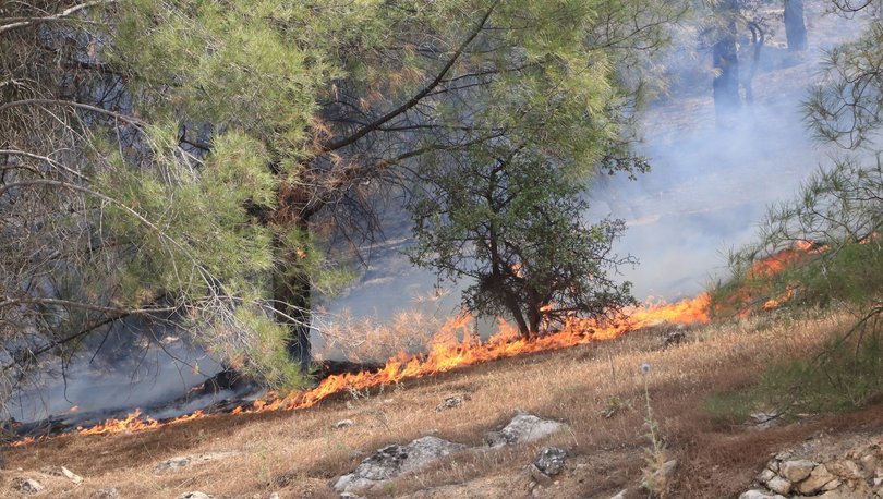 son dakika sanliurfa da korkutan orman yanginlari haberler son dakika haberleri