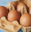 Türkiye genelinde tavuk yumurtası üretimi, nisanda geçen yılın aynı ayına göre yüzde 1 azalarak 1 milyar 595 milyon 785 bin adede gerilerken, tavuk eti üretimi ise yüzde 1,4 artışla 190 bin 172 tona yükseldi.

