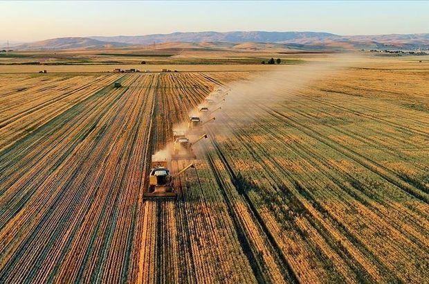 Türkiye organik tarımda dünyada 18. sırada