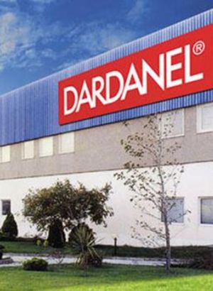 Son dakika: Dardanel Türkiye-İtalya maçı ile ilgili paylaşımı nedeniyle özür diledi