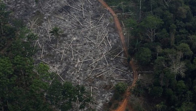 Brezilya Çevre Bakanı, Amazon'da yasa dışı ağaç kesimine karıştığı iddialarının ardından istifa etti