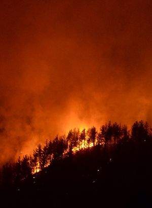 Kahramanmaraş'ta iki noktada orman yangını çıktı