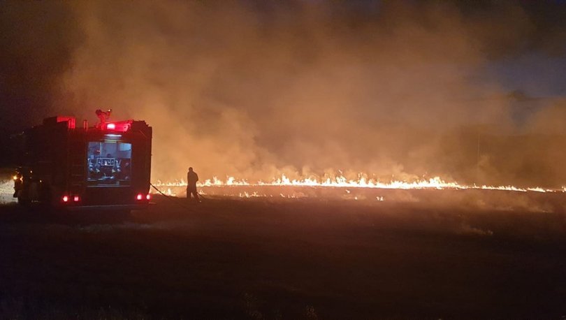 Mangal ateşi 5 hektarlık ormanı yaktı! - Haberler