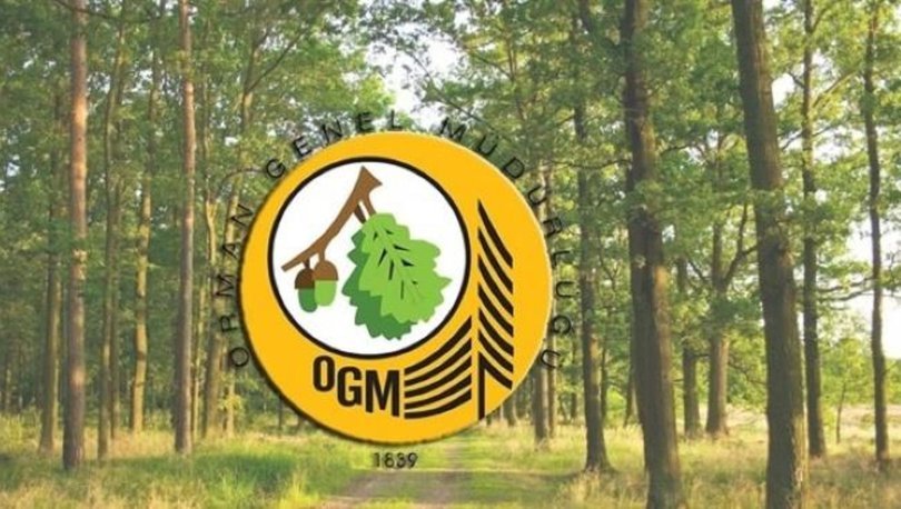 Orman Genel Müdürlüğü kura sonucu ne zaman açıklanacak? OGM kura sonuçları son durum