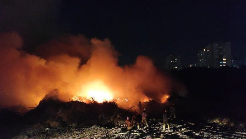 Bakırköy’de ağaçlık alanda yangın paniği