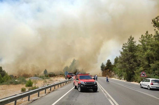 Antalya'da orman yangını! Karayolu kapandı!