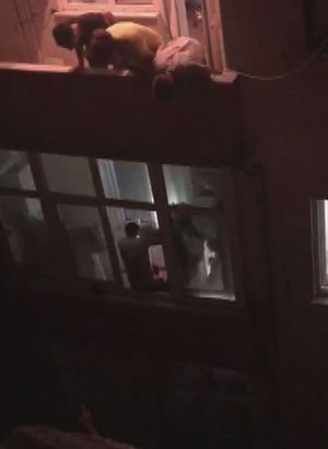 Beyoğlu'nda dehşet! 6 yaşındaki oğlunu rehin aldı - Haberler