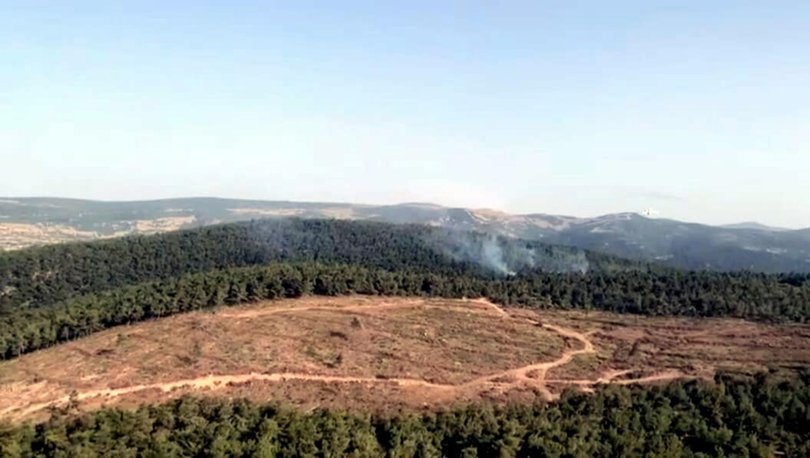 İzmir'de korkutan orman yangını! - Haberler
