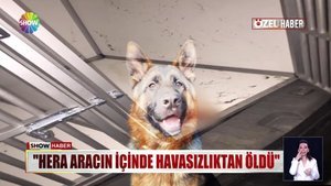 Köpeği unutun AVM'ye gitti!